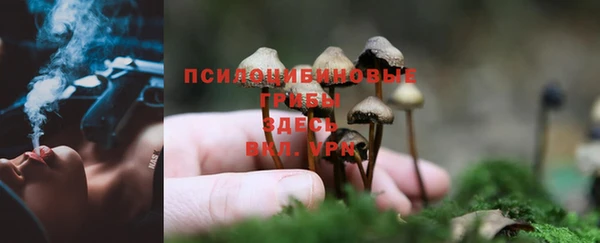 гашишное масло Кукмор