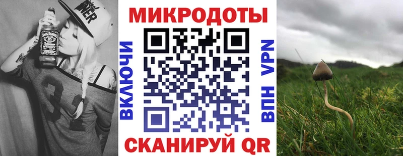 Галлюциногенные грибы Psilocybe  Купить  Михайлов 