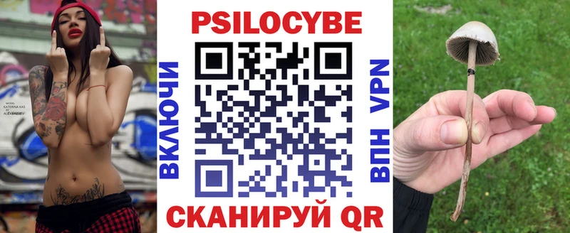 Псилоцибиновые грибы MAGIC MUSHROOMS Михайлов