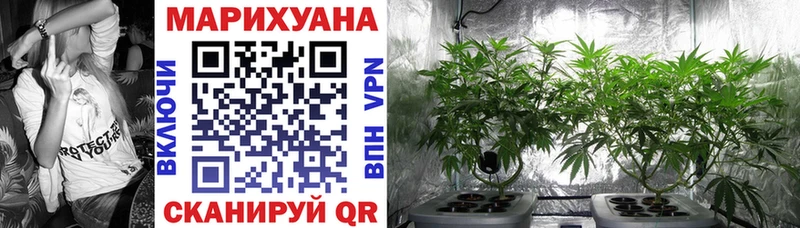Бошки Шишки THC 21%  Купить закладки  Михайлов 
